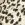 Animal Printed 3/4 Sleeve Midi Dress