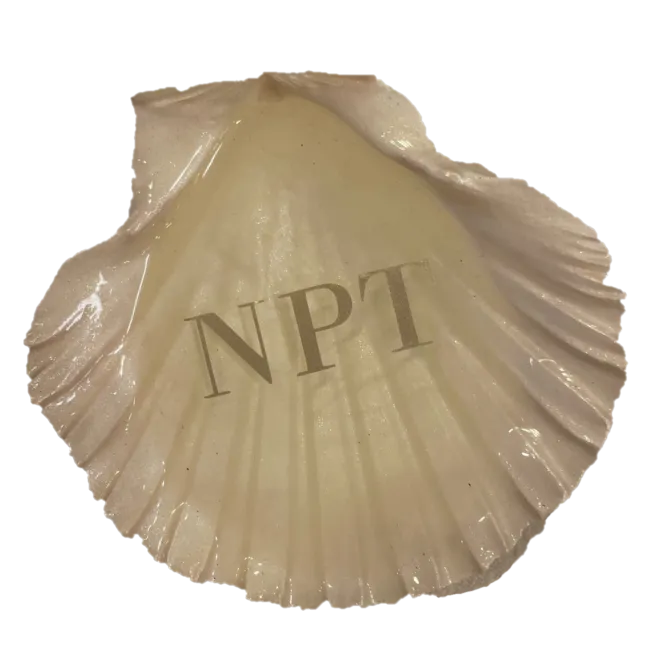 Decoupage Clam Shell