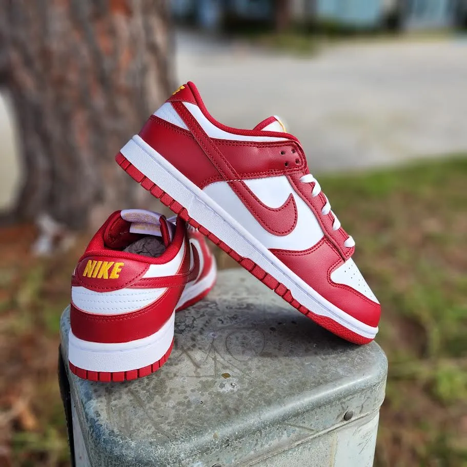 Nike Dunk Low Retro 'AMERICA'