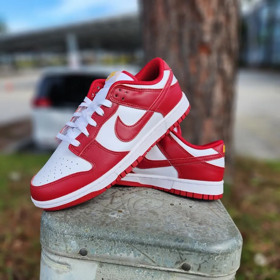 Nike Dunk Low Retro 'AMERICA'